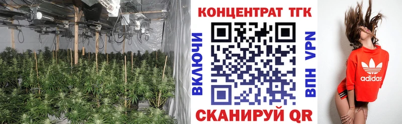 Дистиллят ТГК вейп  OMG зеркало  Кирсанов 